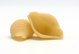 Conchiglie — format de pâtes italiennes